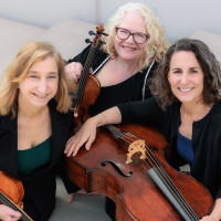 The Vivaldi Project